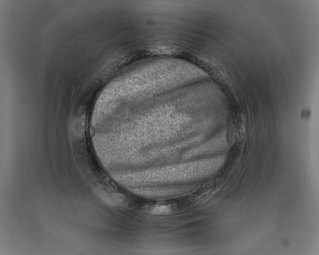 X0000091920647200709261643