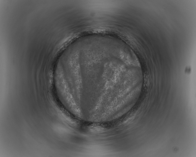 X0000091920648200709261643