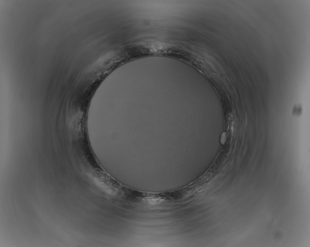 X0000091920650200709261643