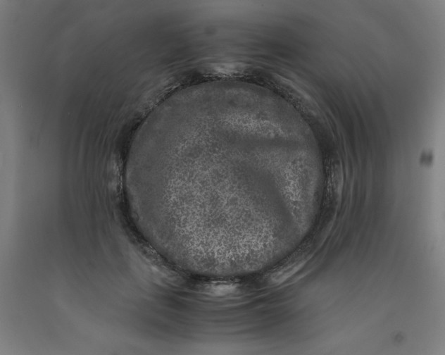 X0000091920651200709261643