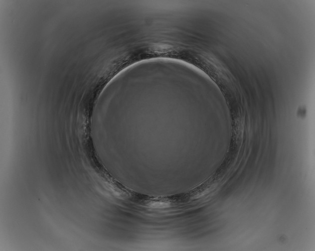 X0000091920653200709261643