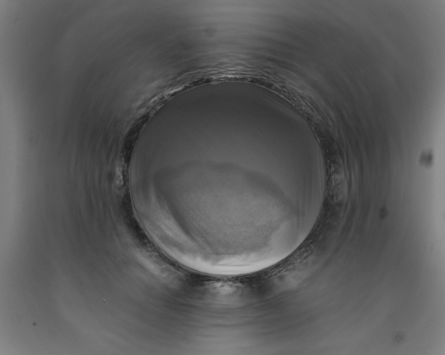 X0000091920654200709261643