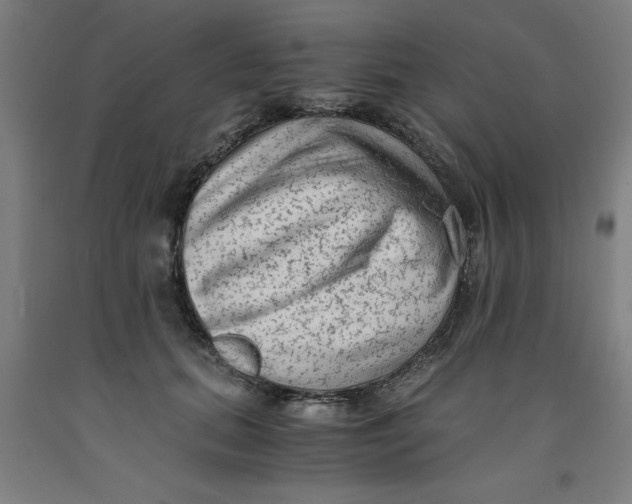 X0000091920655200709261643