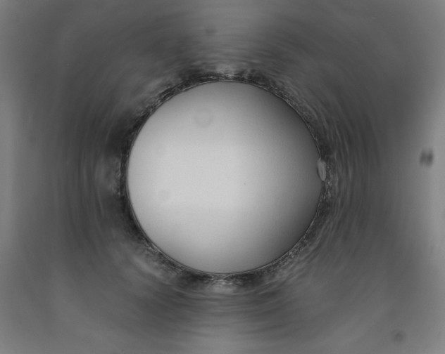 X0000091920656200709261643