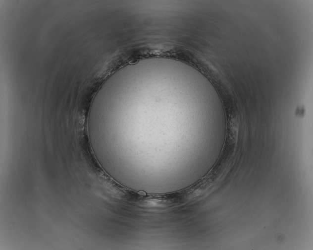 X0000091920657200709261643