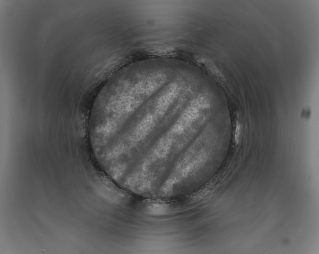 X0000091920658200709261643