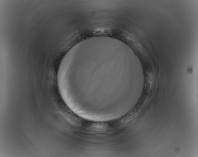 X0000091920659200709261643