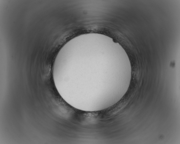 X0000091920660200709261643