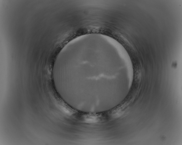 X0000091920661200709261643