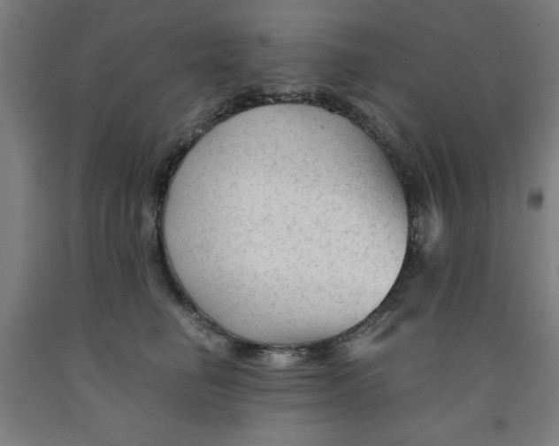 X0000091920662200709261643