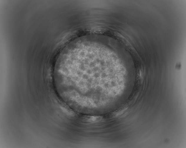 X0000091920663200709261643