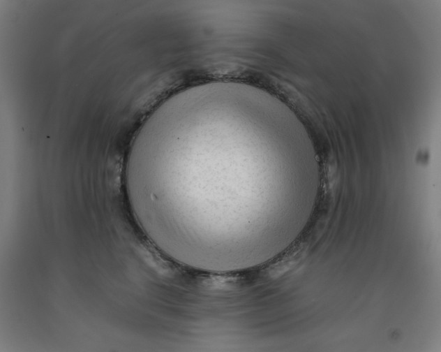 X0000091920664200709261644