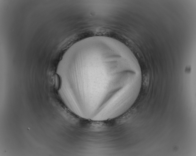 X0000091920666200709261644