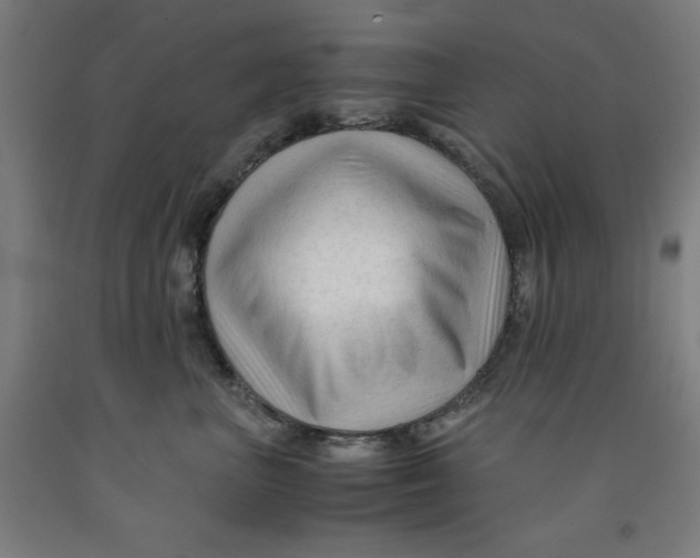 X0000091920667200709261644