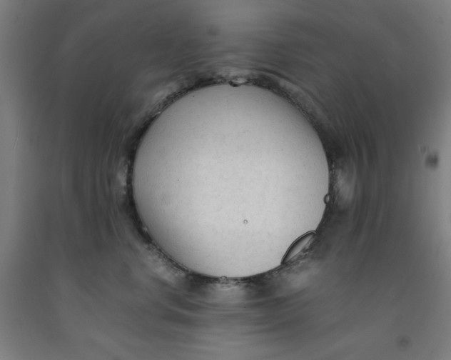 X0000091920668200709261644