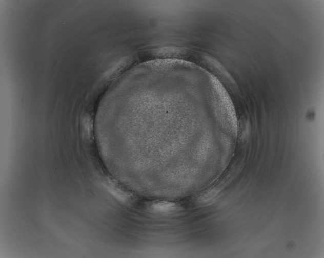 X0000091920669200709261644