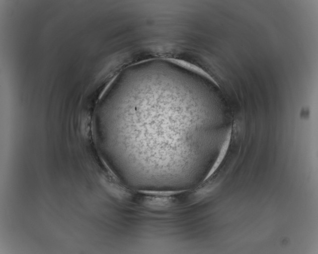 X0000091920671200709261644