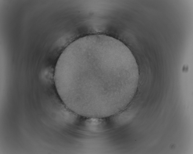 X0000091920672200709261644