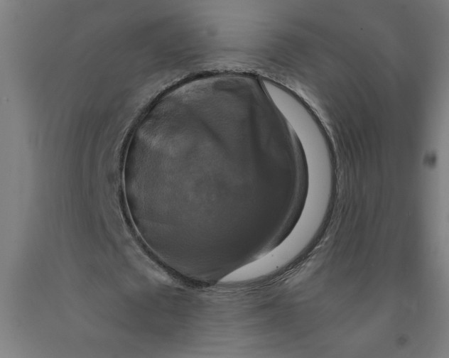 X0000091920673200709261643