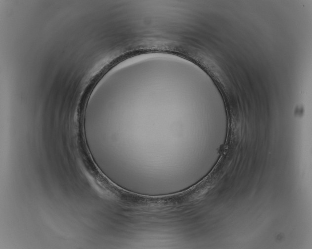 X0000091920674200709261643