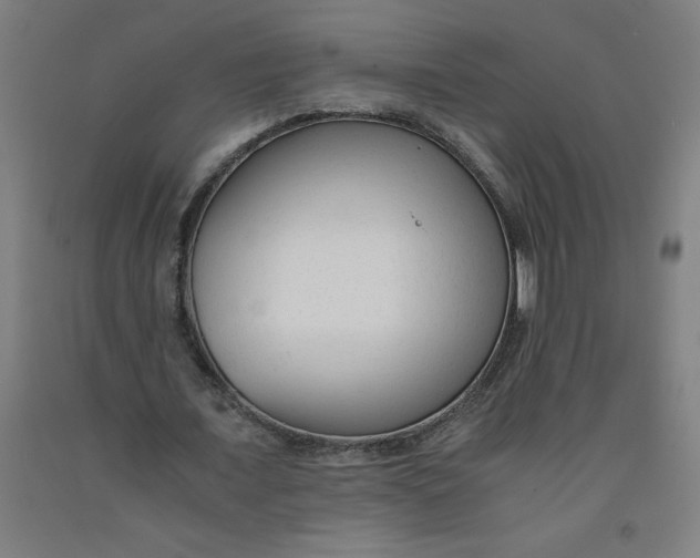 X0000091920675200709261643