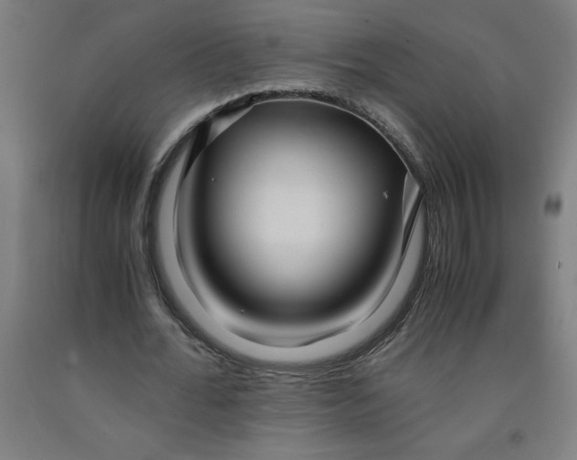 X0000091920676200709261643