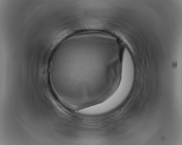 X0000091920677200709261643