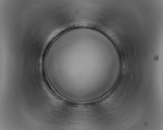 X0000091920678200709261643