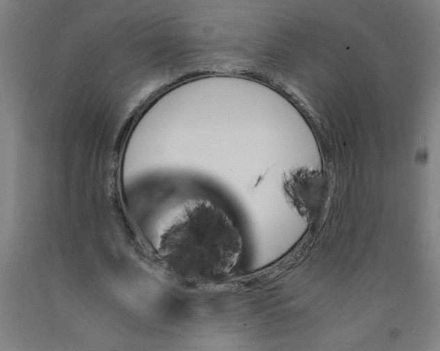 X0000091920679200709261643