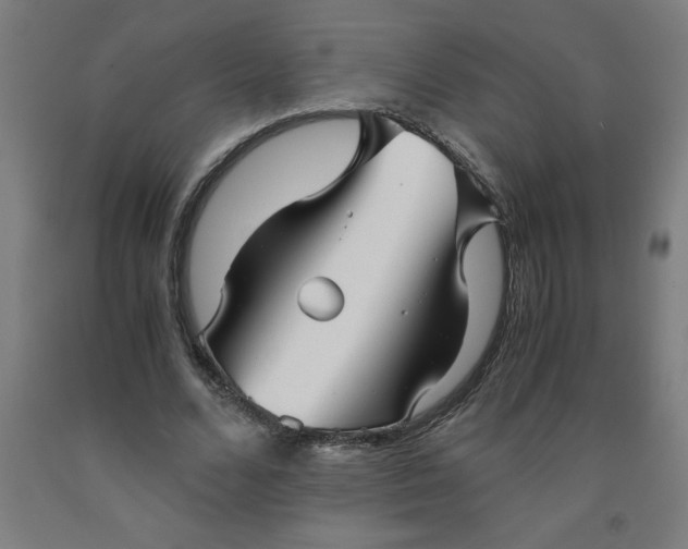 X0000091920680200709261643