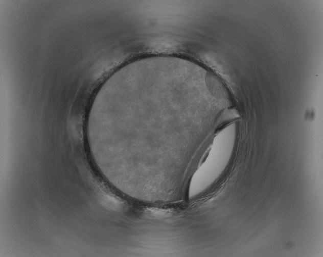 X0000091920681200709261643