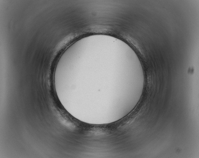 X0000091920682200709261643