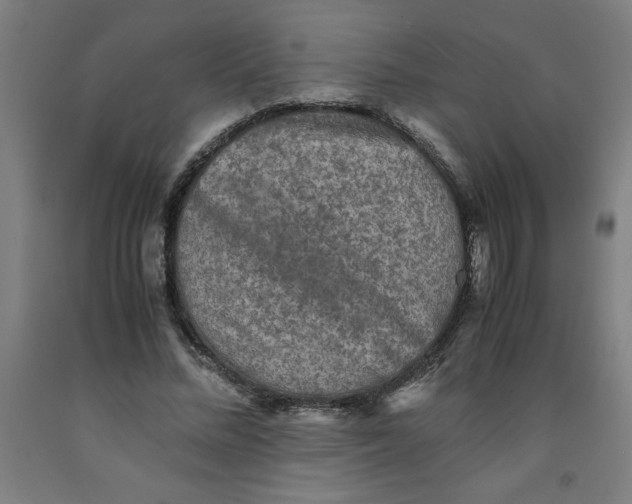 X0000091920684200709261643