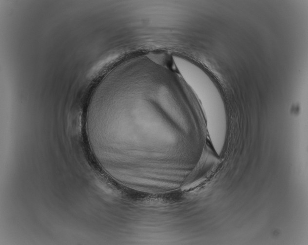 X0000091920685200709261643