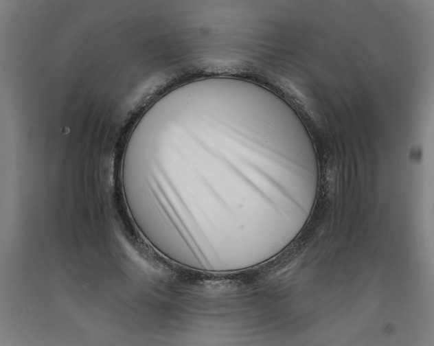 X0000091920686200709261643