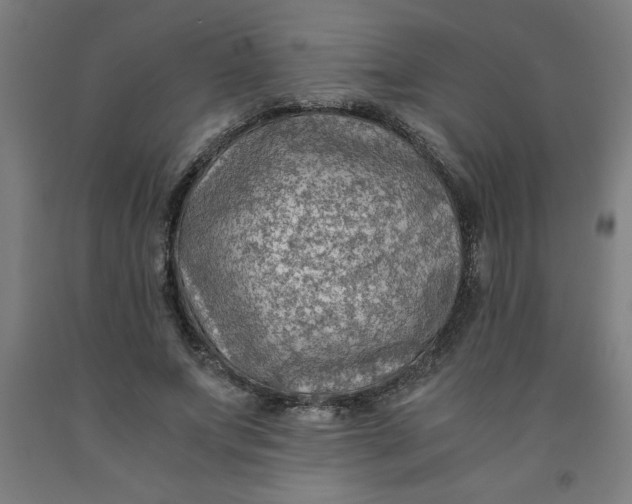 X0000091920687200709261643