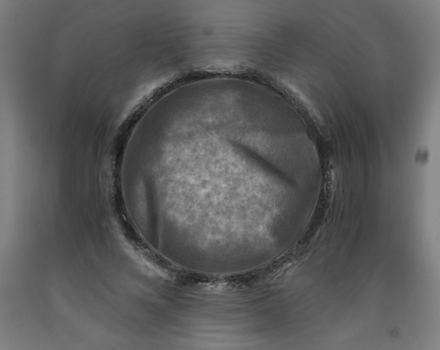 X0000091920688200709261643