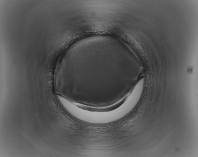 X0000091920689200709261643