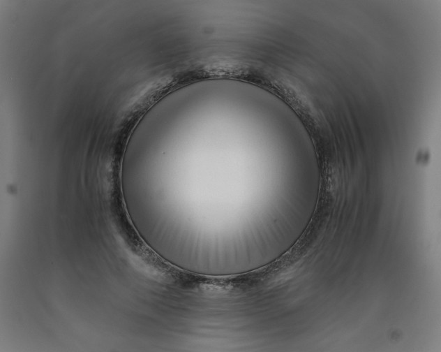 X0000091920690200709261643