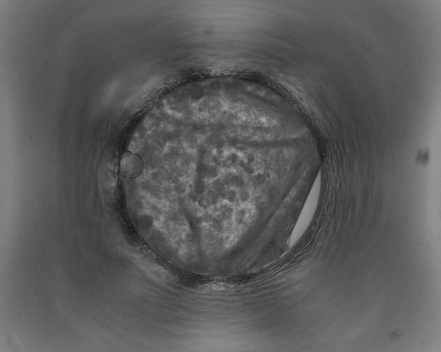 X0000091920691200709261643