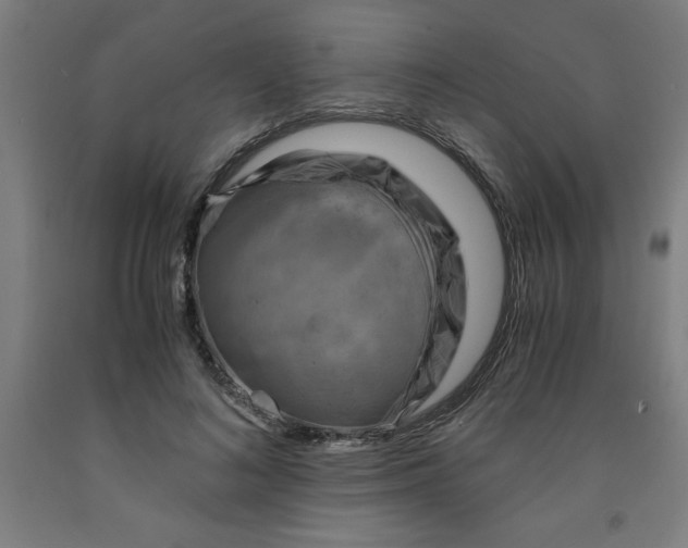 X0000091920692200709261643