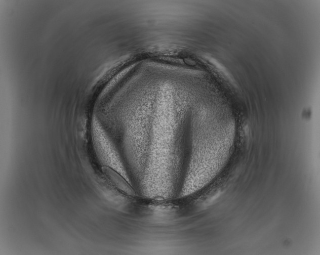 X0000091920693200709261643