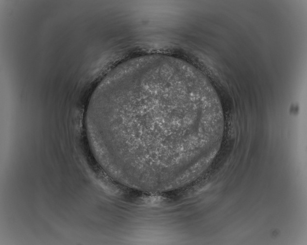 X0000091920695200709261643