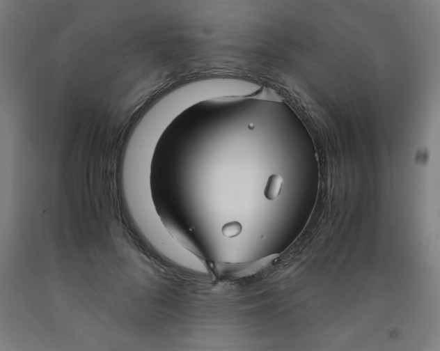 X0000091920696200709261643