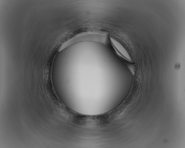 X0000091920697200709261643