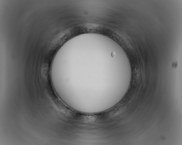 X0000091920698200709261643