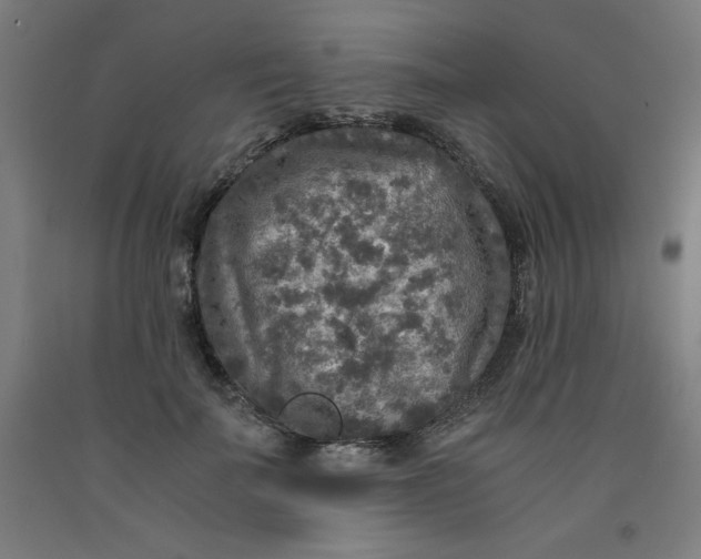 X0000091920699200709261642