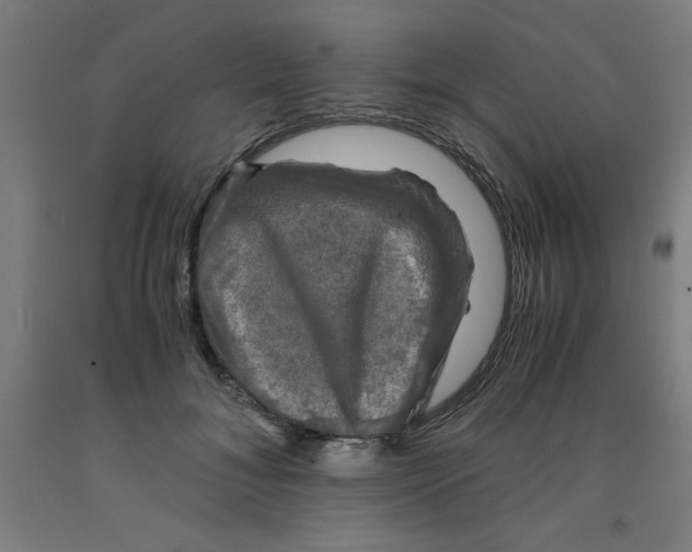 X0000091920700200709261642