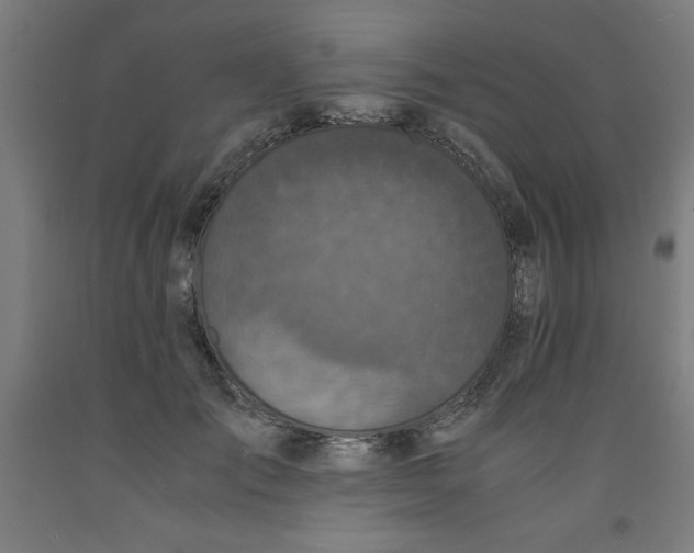 X0000091920701200709261642