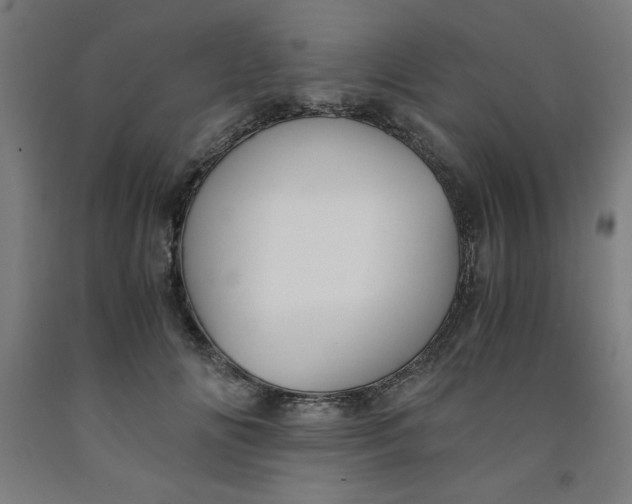 X0000091920702200709261642